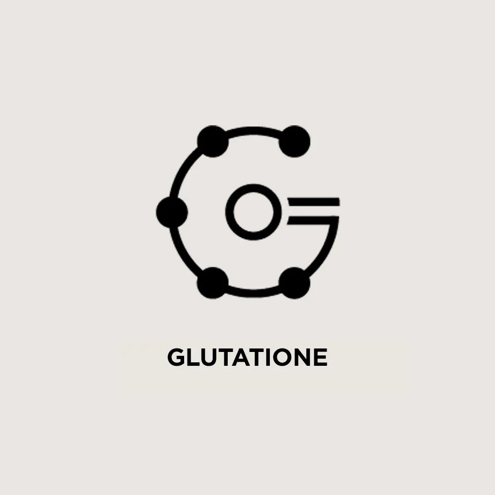 ACYL-GLUTATHIONE